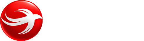 Xiaoyan Intelligent Robot